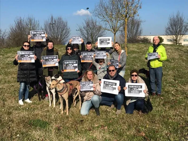 27336558 1621201674630348 3215311928946506609 n