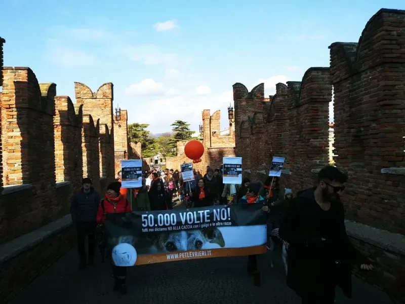 27336839 1796023924032392 2562698340103476003 n