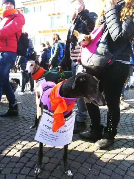 27336867 1796024584032326 2656755762946231998 n