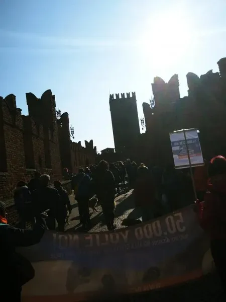 27336876 1796023864032398 6860566886576995122 n