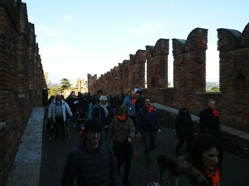 27337275 1796024004032384 4653293663194491761 n