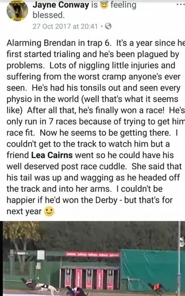 27458916 1575424345899028 6175669567213831775 n