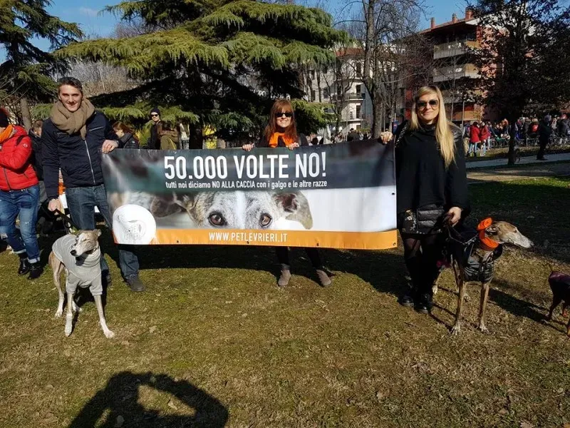 27459484 1203982803069757 8852756393930546338 n