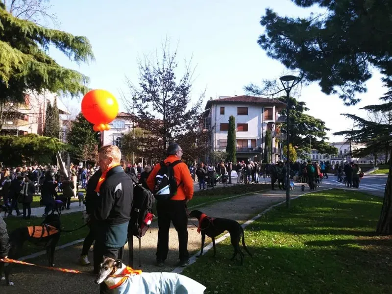 27459603 1796023780699073 8725776685186021312 n