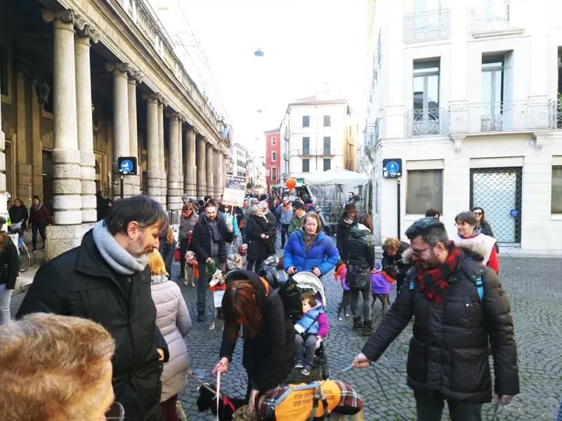 27460012 1796024197365698 5080170322995250775 n