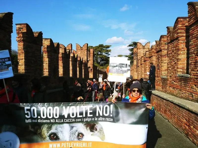 27460033 1796023894032395 338663009118512902 n