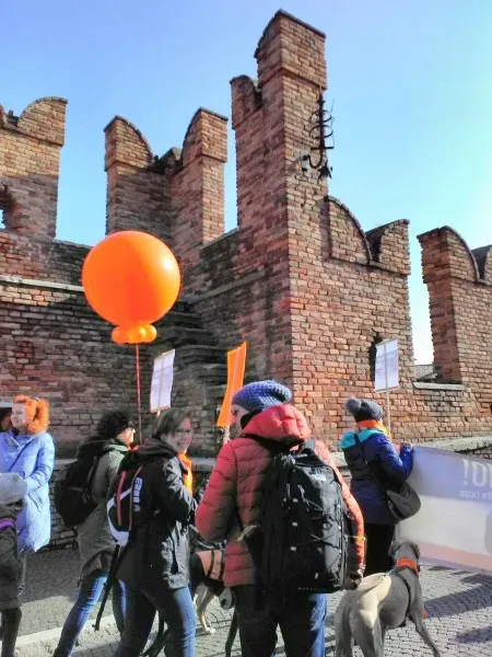 27500930 1685387611499457 4432463829678522261 o