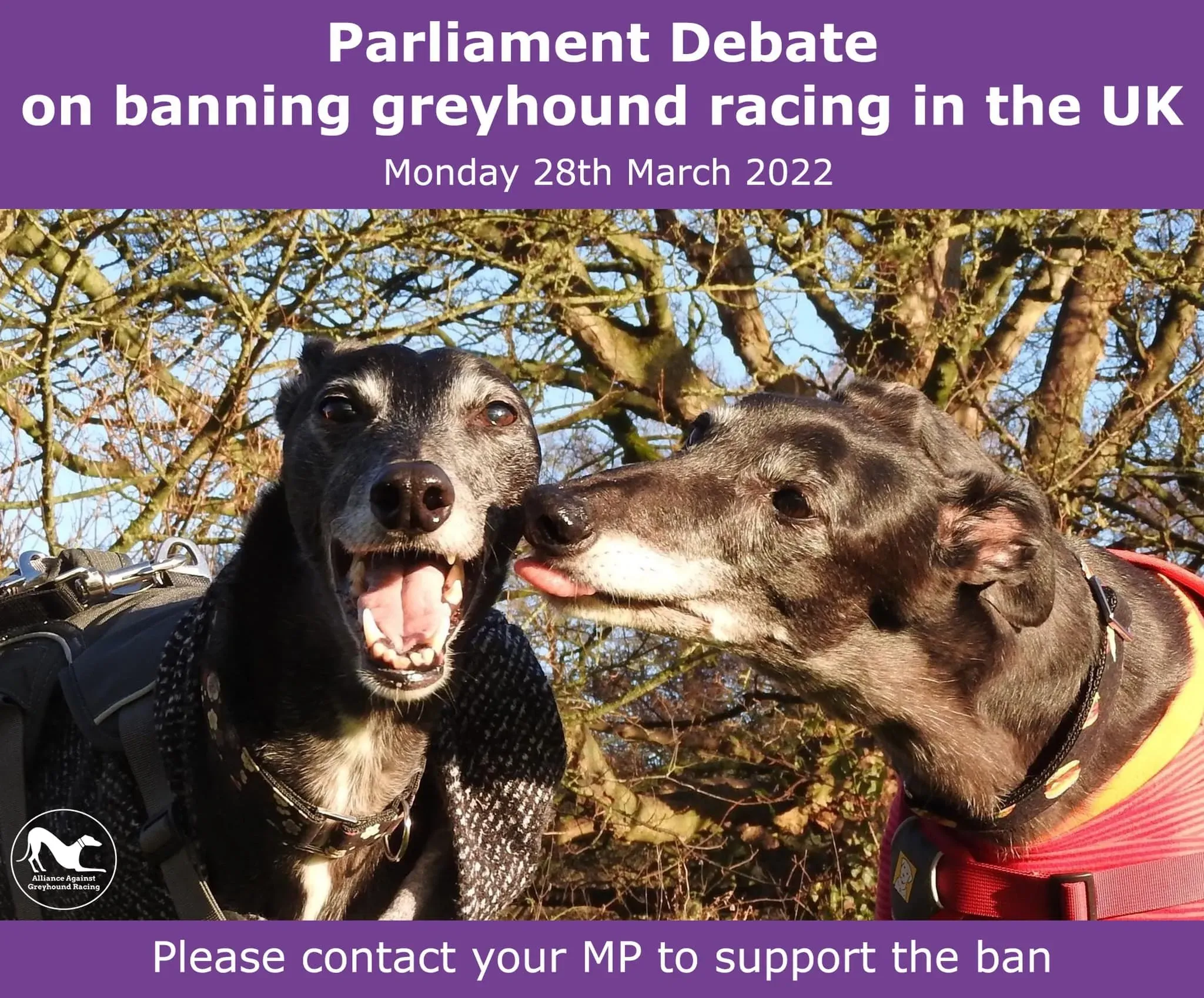 275302577 4692033060894450 5437374981776095586 n