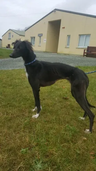 27536886 1553592301391359 679730491 o