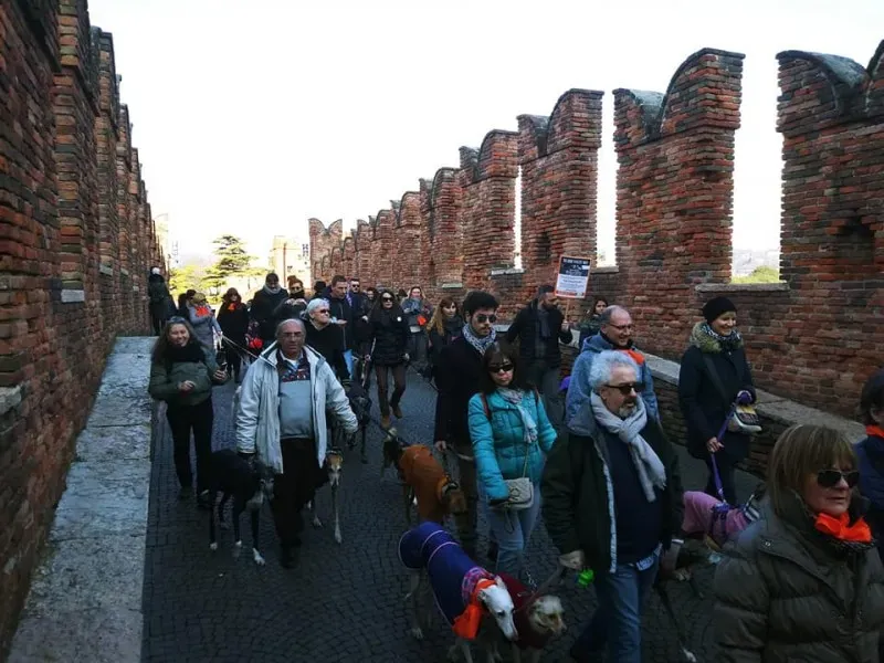 27540598 1796024057365712 4127988864696744284 n