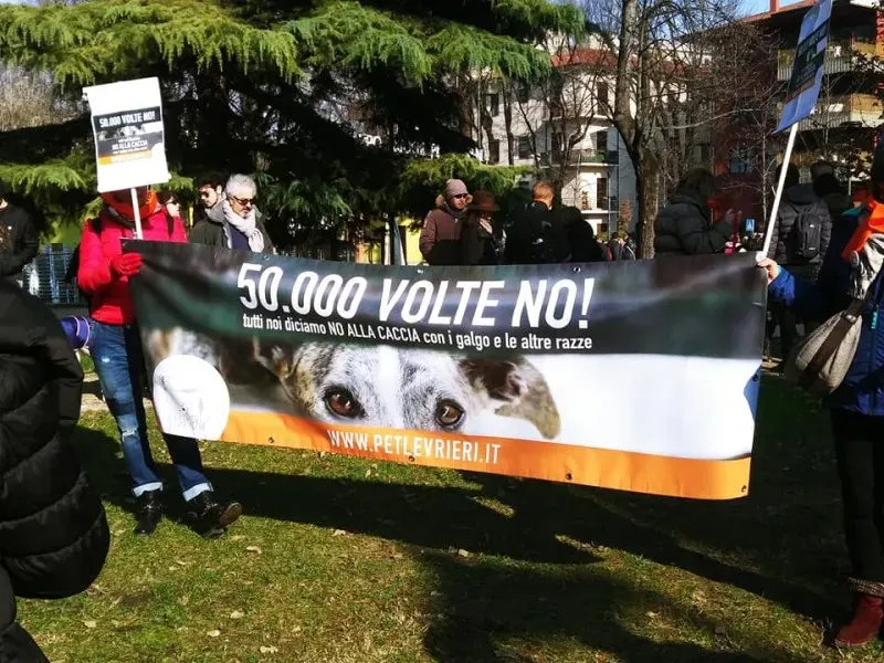 27540912 1796023847365733 2152504093827063350 n