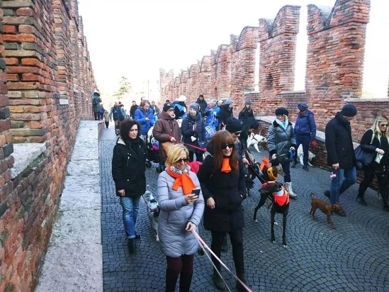 27545428 1796024127365705 3447969774577335919 n