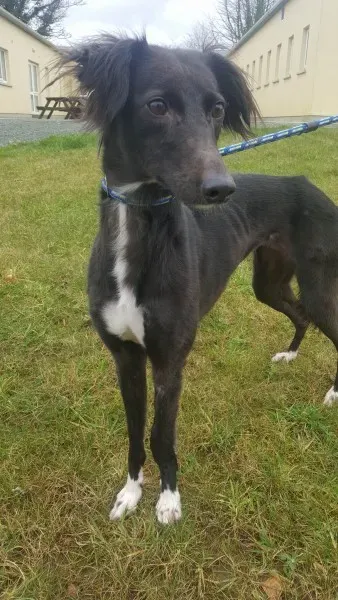 27650762 1553592334724689 148081669 o