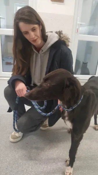 27650853 1553591998058056 2001720420 o