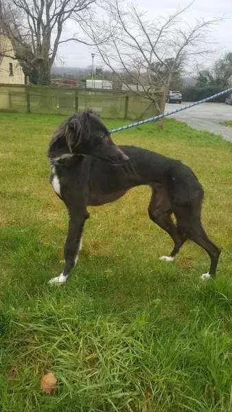 27650876 1553592424724680 661155735 o