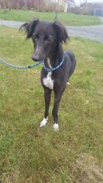 27651063 1553592268058029 1063173954 o