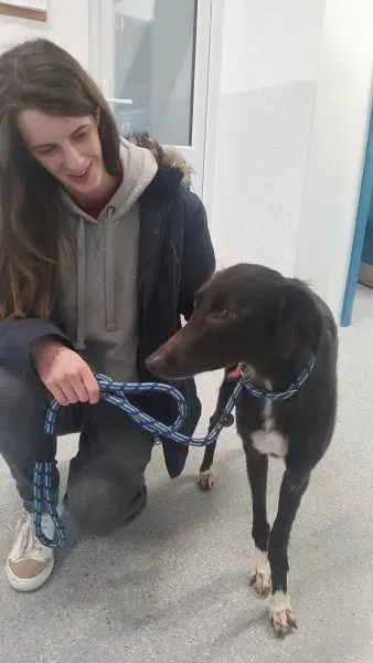 27651072 1553592008058055 1844358868 o