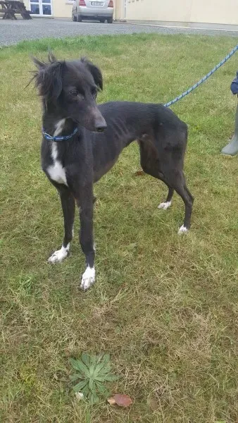 27651115 1553592284724694 1647499708 o