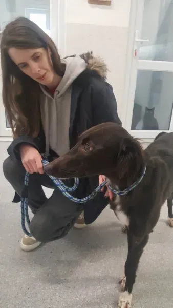 27651132 1553592018058054 971038713 o