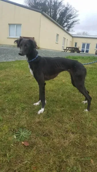 27652958 1553592291391360 473408235 o