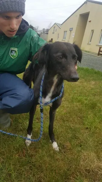 27653156 1553592181391371 1073953454 o