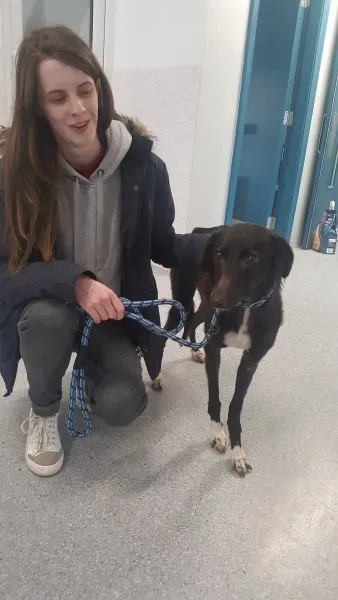 27653924 1553592108058045 1417267058 o