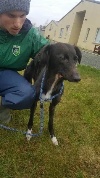 27707539 1553592188058037 965288088 o