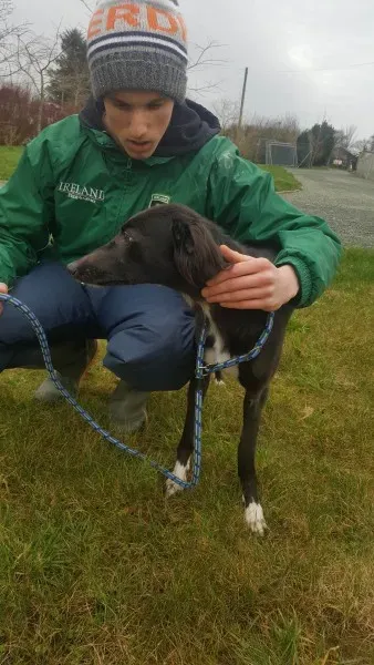 27707767 1553592231391366 1114644075 o