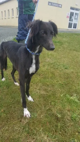 27710953 1553592394724683 287341947 o