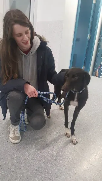 27711573 1553592101391379 273183322 o