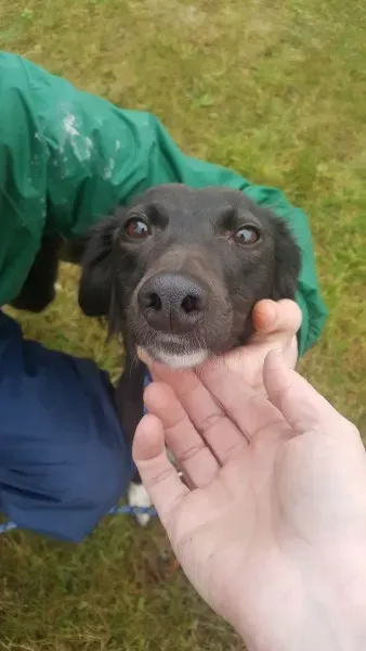 27744913 1553592121391377 486670432 o