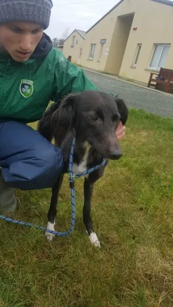 27745113 1553592211391368 1046154846 o