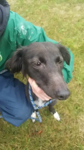 27746885 1553592138058042 2040014067 o