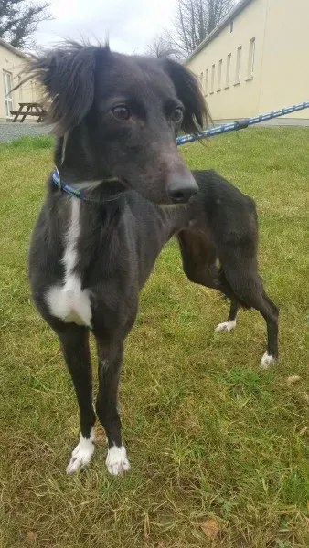 27747065 1553592314724691 1631126181 o