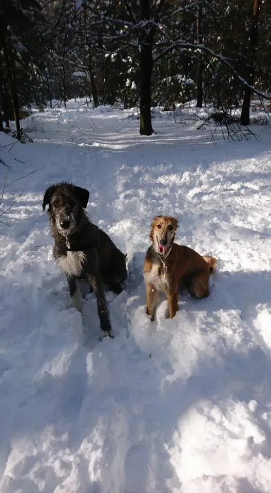 27750637 10215326682341855 4366018067588280655 n