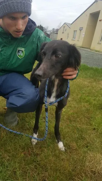 27785245 1553592158058040 1053903815 o