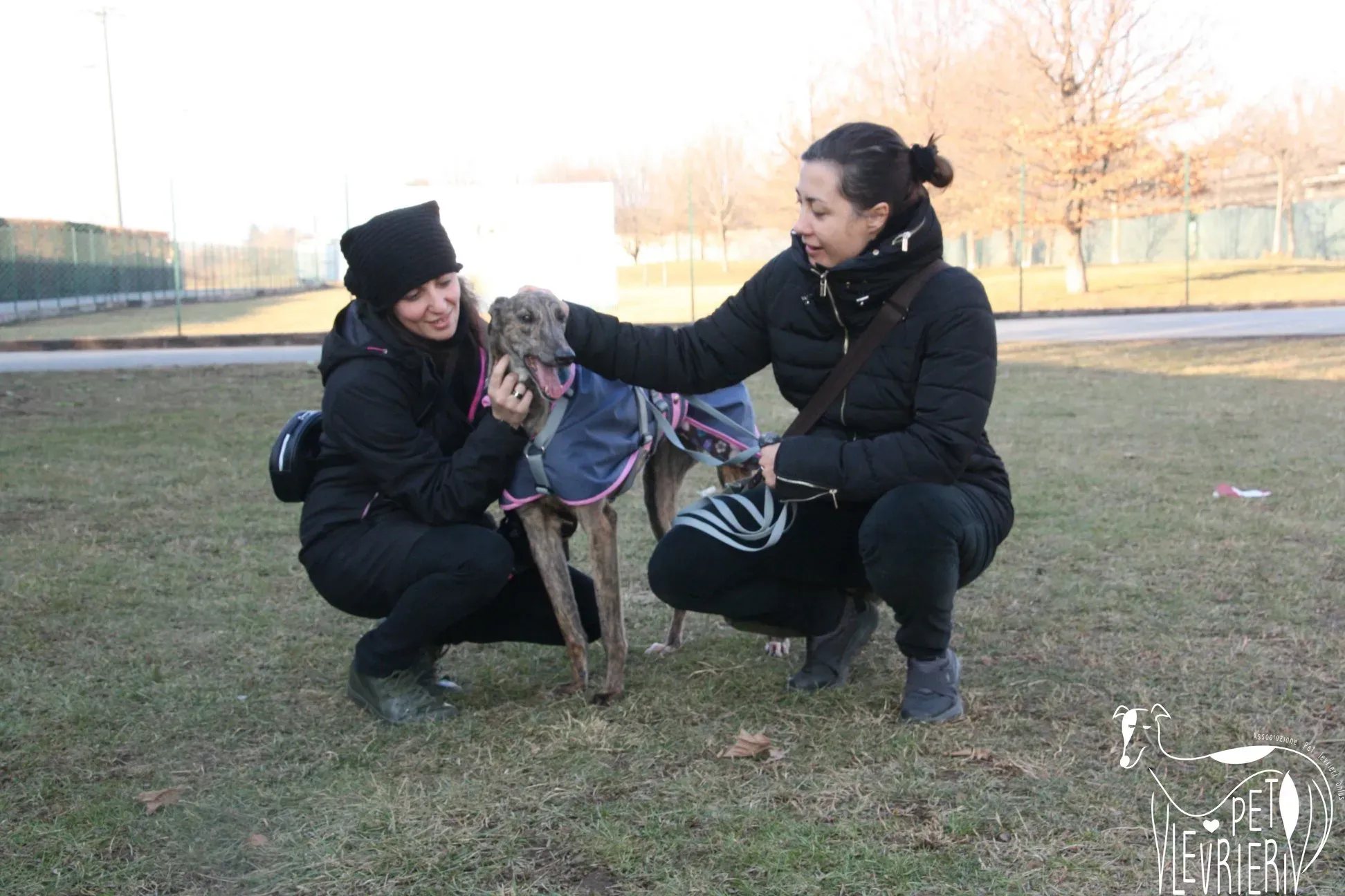 277A10A9 E4CF 442F ACF0 4AD414451A00