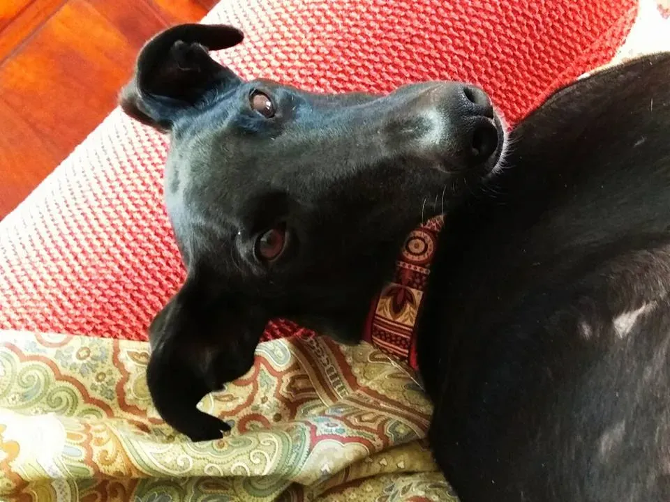 27867892 1938990823017805 2344390271402519323 n