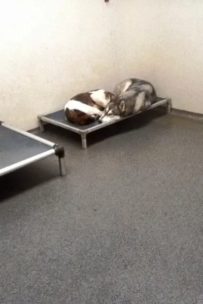 27867989 10210518697235853 7398376222366937072 n