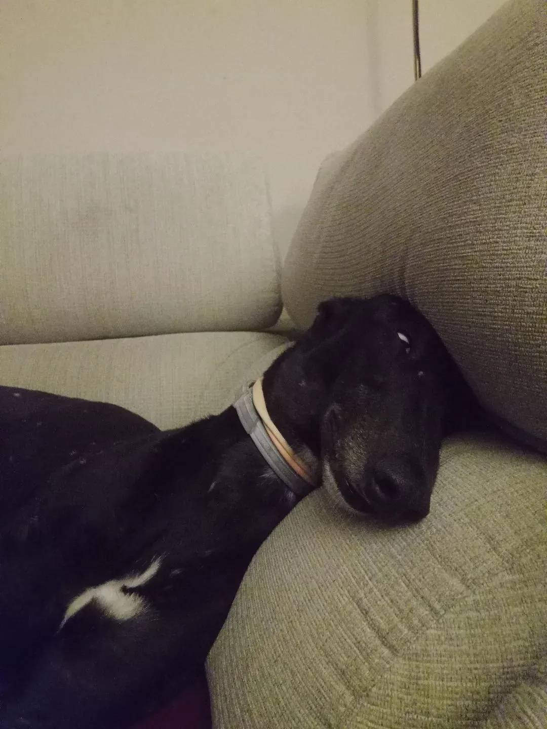 278950697 10228642317550652 45263739346779240 n