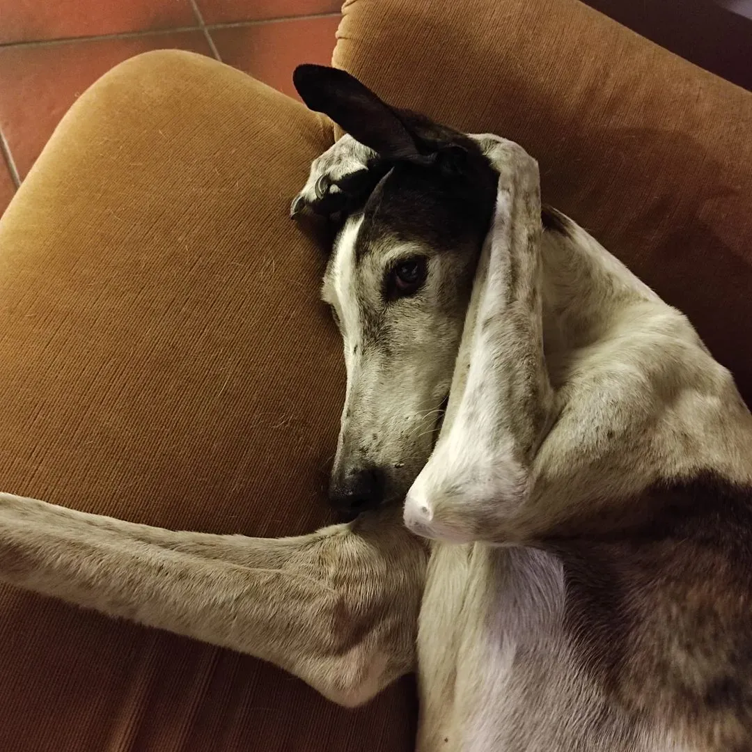 279196639 2932607323703834 8538943880116124129 n