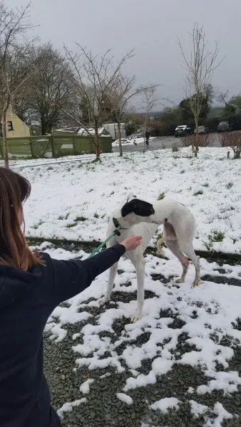 27951461 1562318733852049 1837449965 o