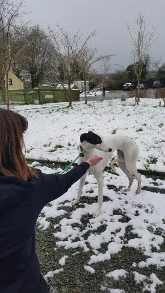 27990143 1562318810518708 1650311921 o