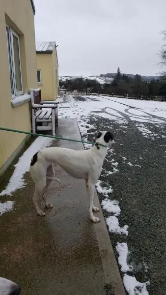 27990235 1562318700518719 883324400 o