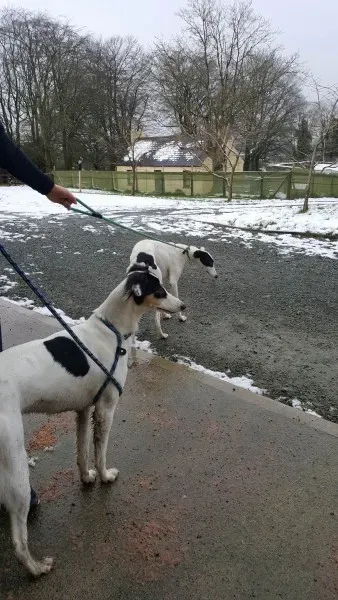 27990472 1562318597185396 1581734799 o