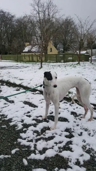 27990524 1562318697185386 1327461052 o