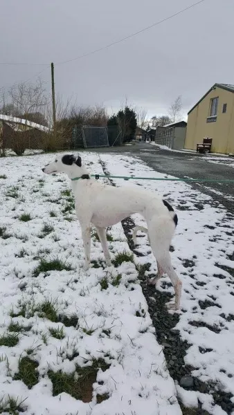 27990787 1562318623852060 1095799819 o