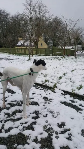 27999082 1562318803852042 1047886769 o