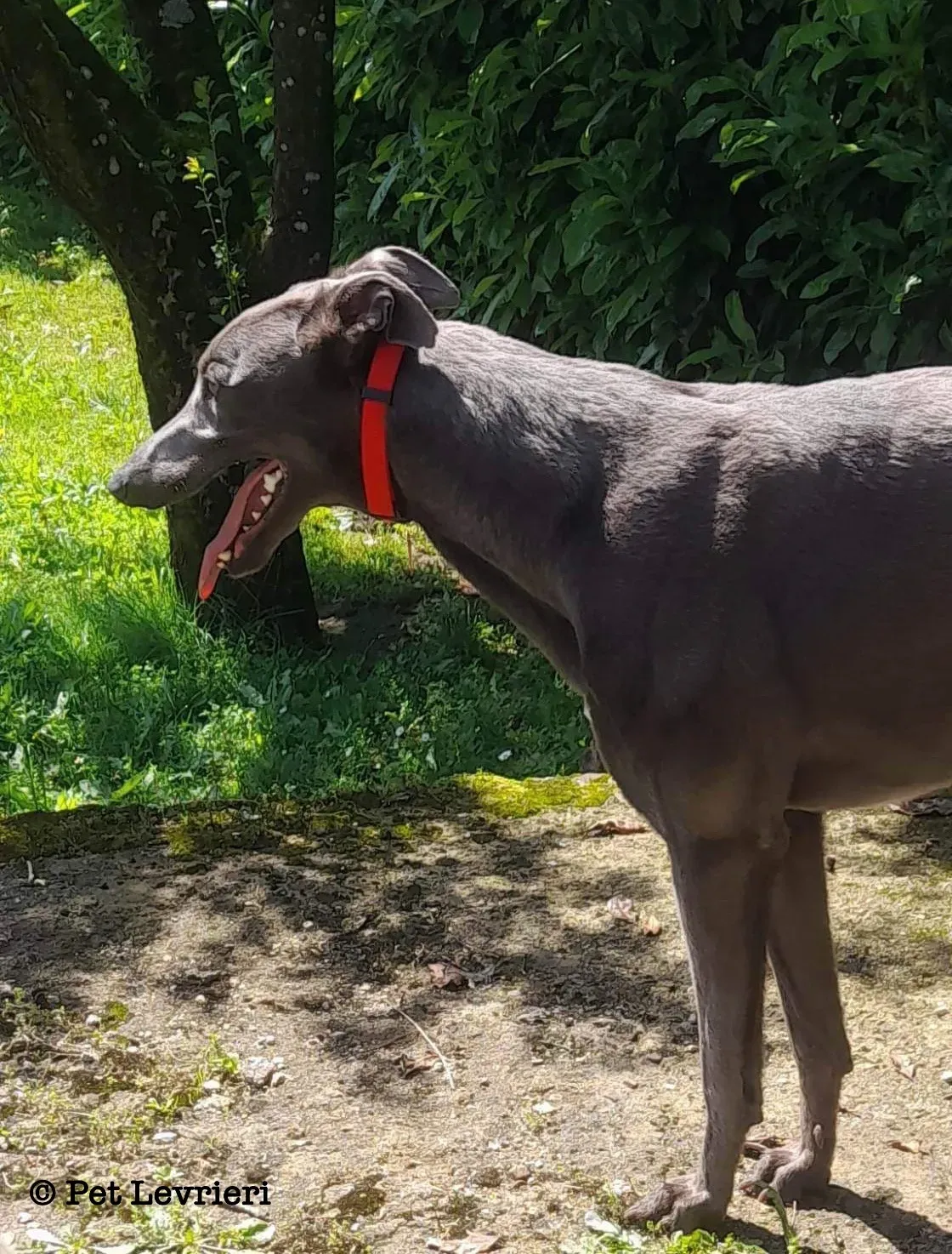 27A2FBCF D8AA 4265 836C A6605EDE12CF