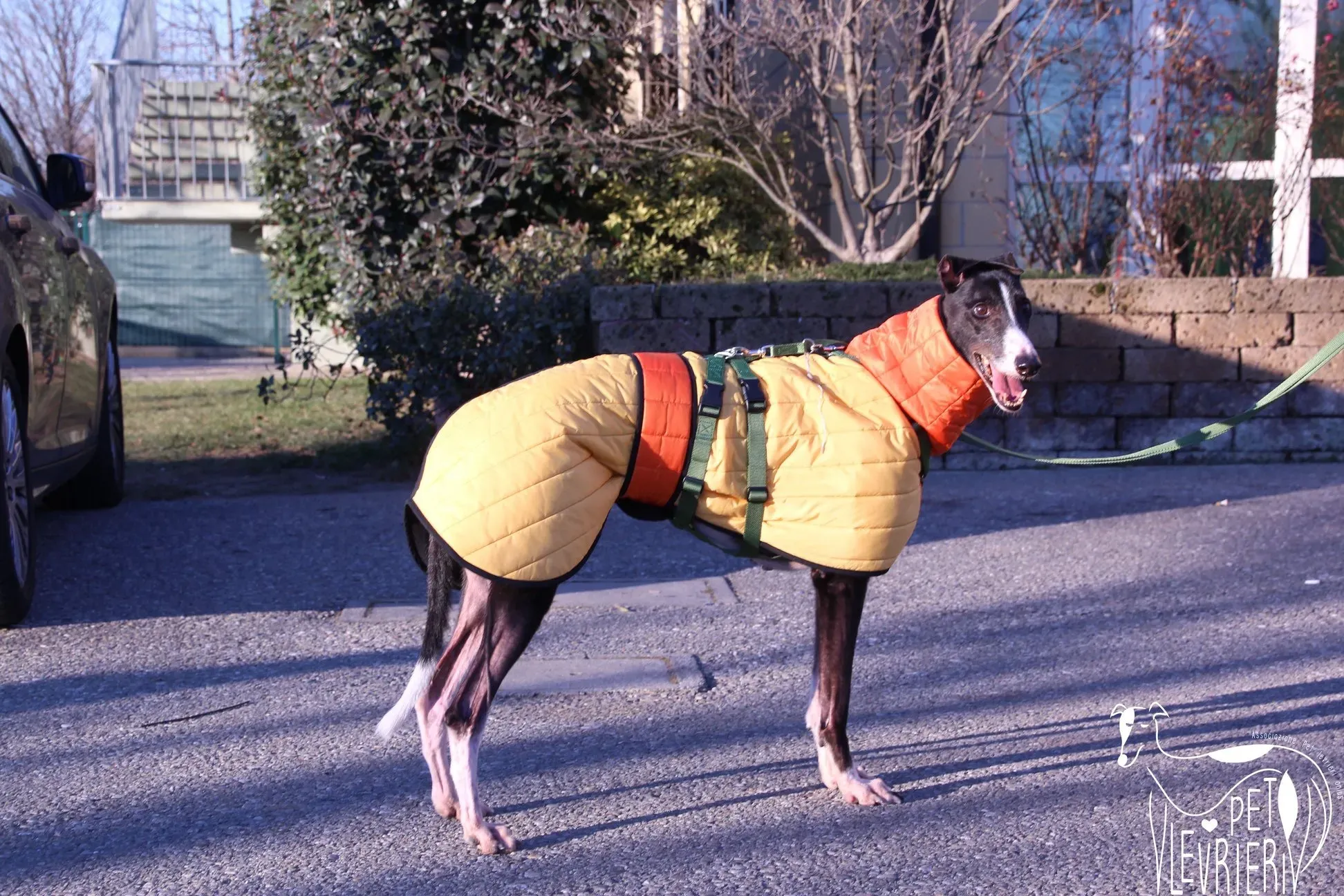 27FEF65A FD9A 46DF 8BFA BC1548D2B71C